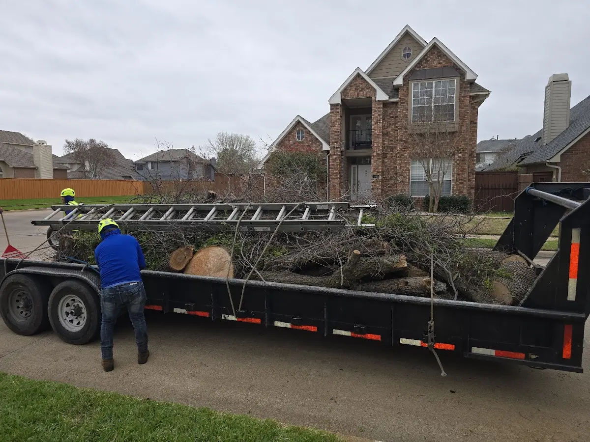 Expert Lot Clearing with proper safety equipment in Jet